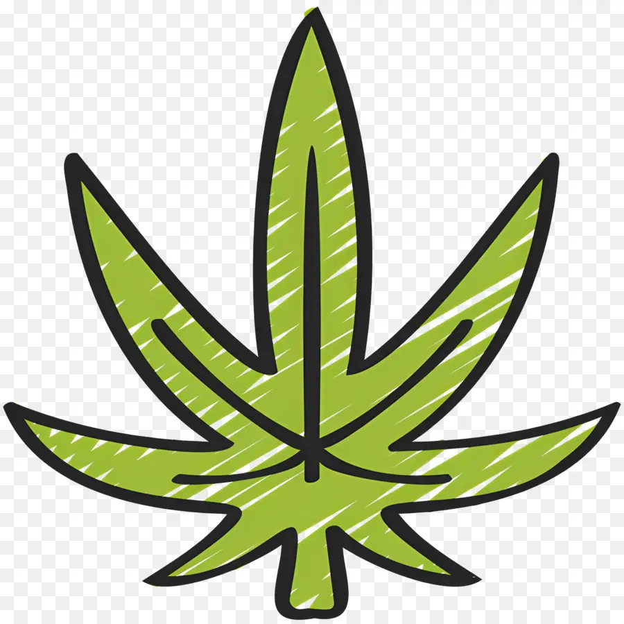 Feuille De Cannabis，Feuille Verte PNG