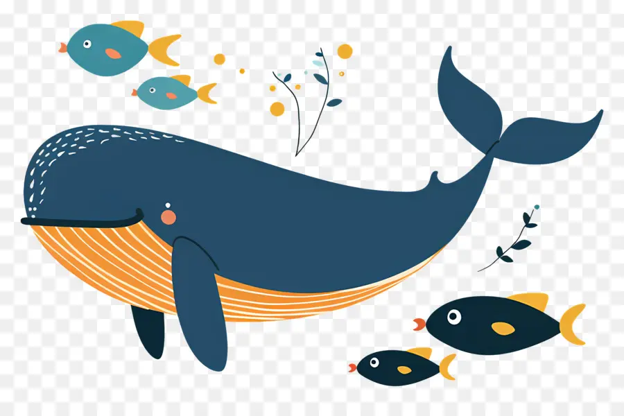 Baleine Et Poisson，Baleines PNG