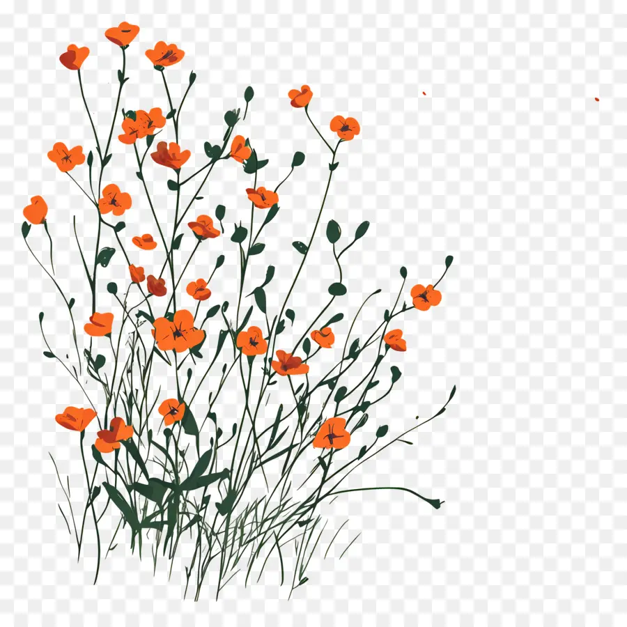 Bouquets，Fleurs PNG