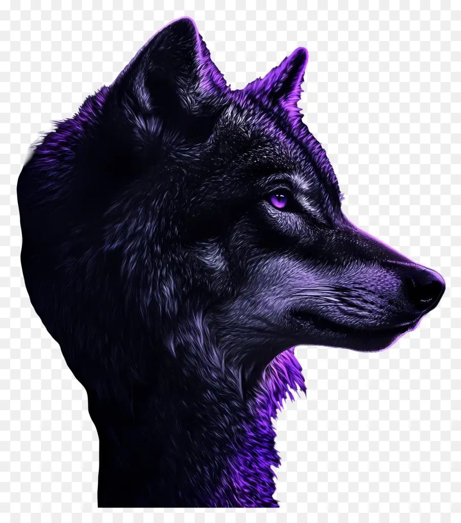 Loup Fantastique，Loup PNG