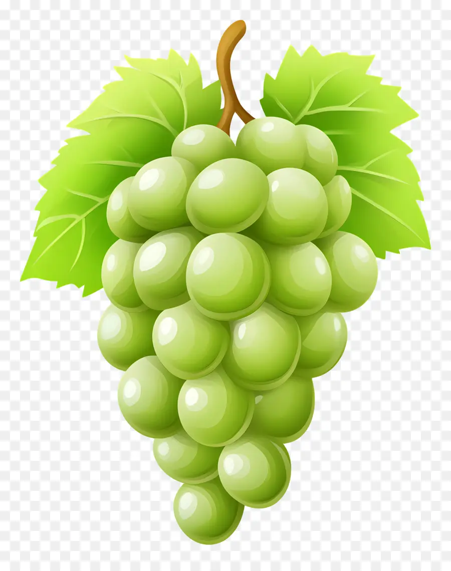 Raisin Vert，Raisins PNG