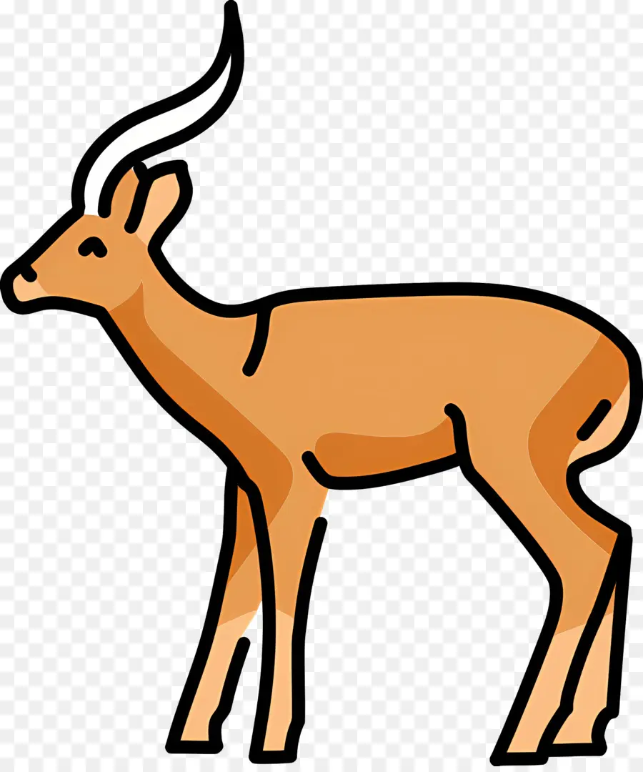 Gazelle，Cerf PNG