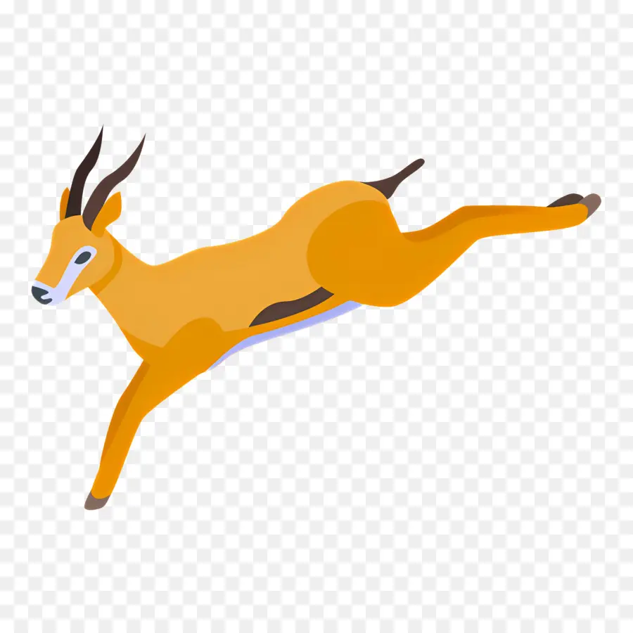 Gazelle，Antilope Sauteuse PNG