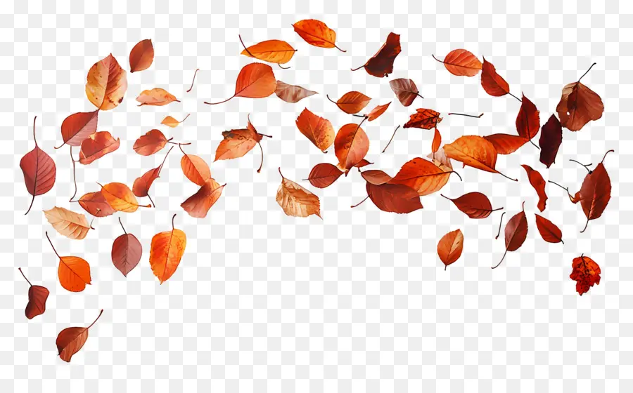 Feuilles Flottantes，Feuilles Colorées PNG