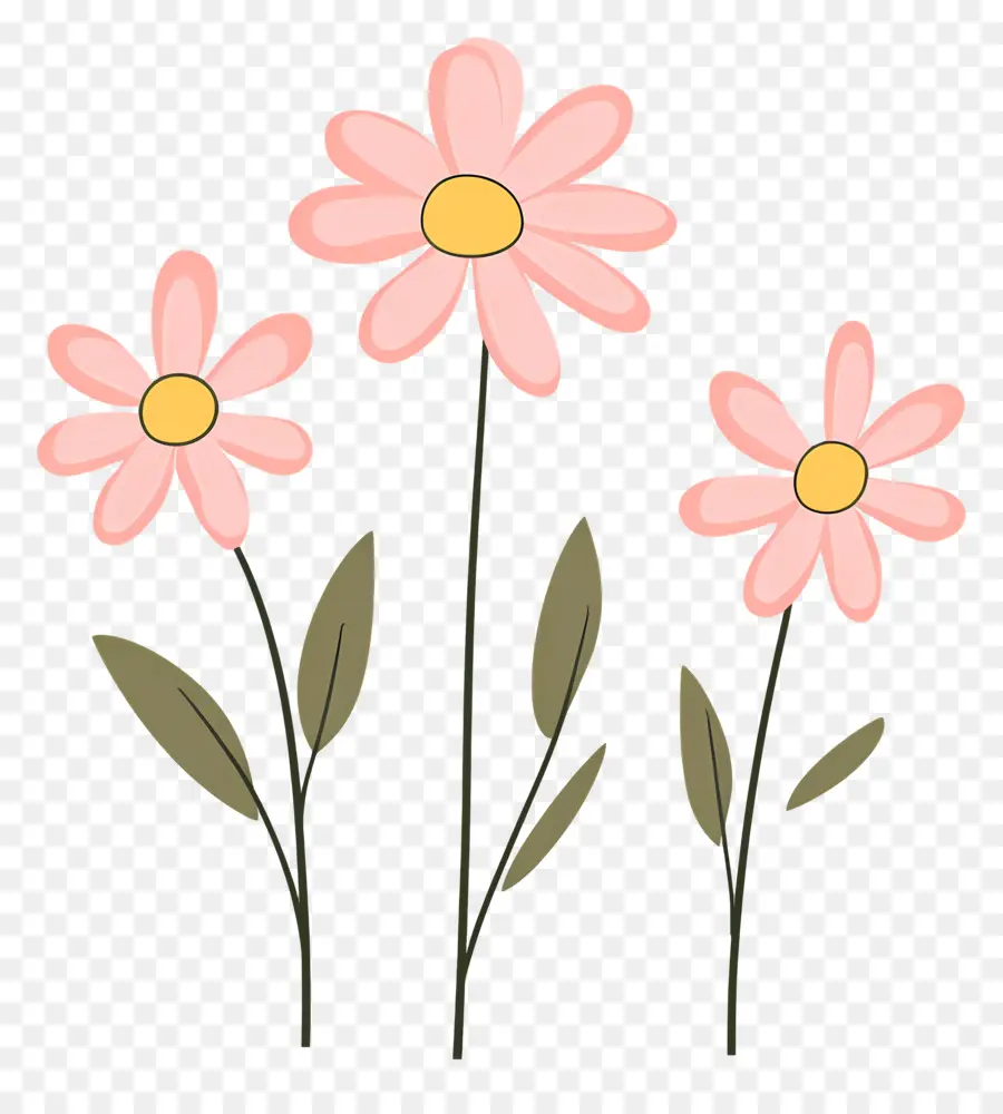 Fleurs De Marguerite Rose，Fleurs PNG