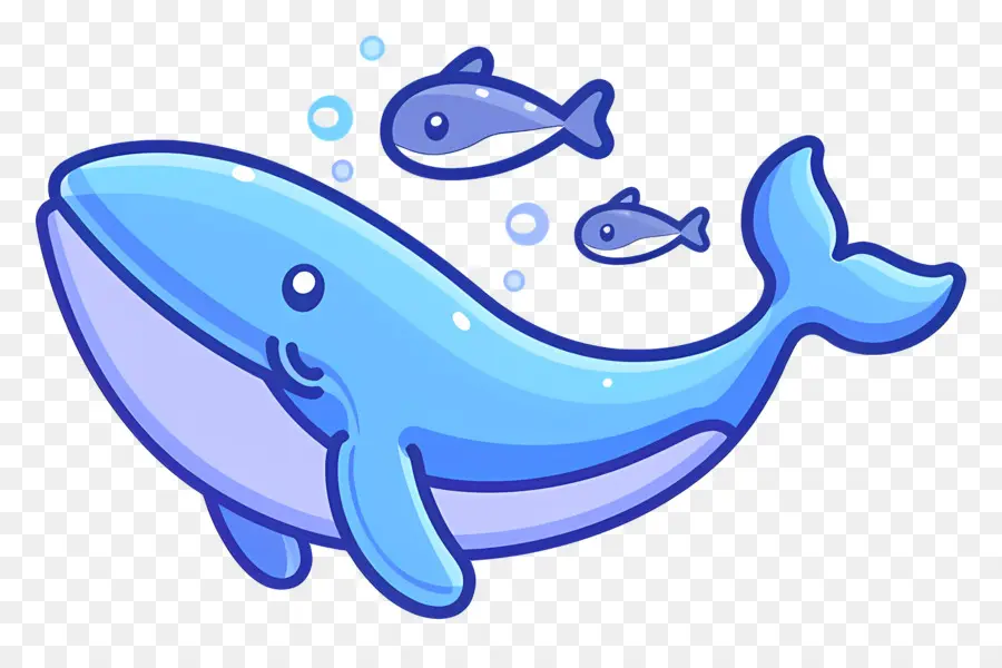 Baleine Et Poisson，Baleine PNG