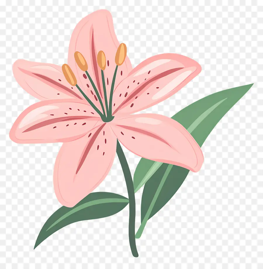 Fleur De Lys Rose，Lys Rose PNG