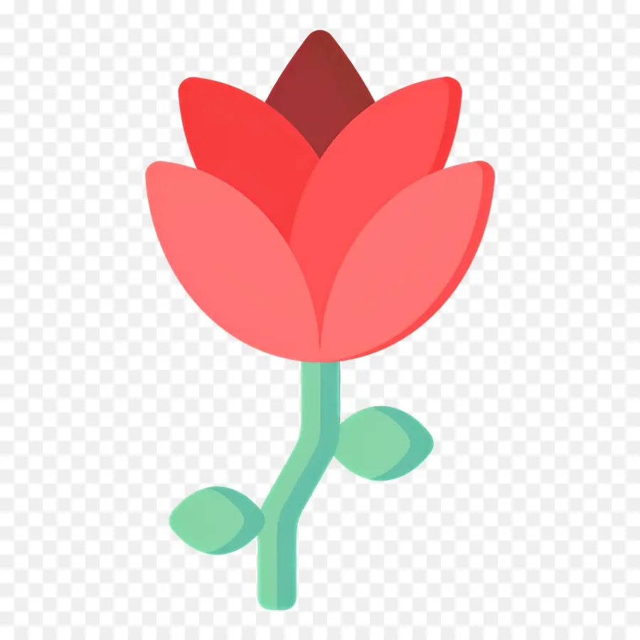 Fleur Rouge，Rose PNG