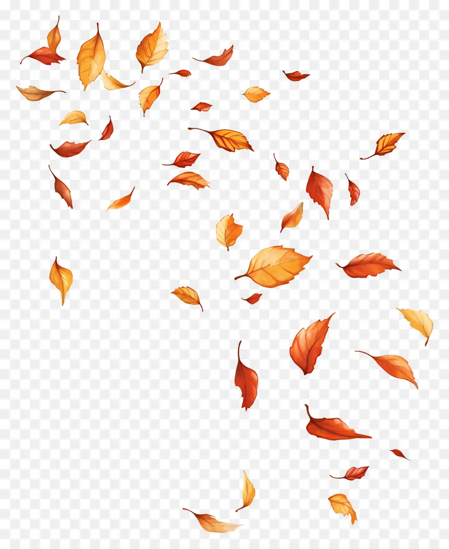 Feuilles Flottantes，Feuilles PNG