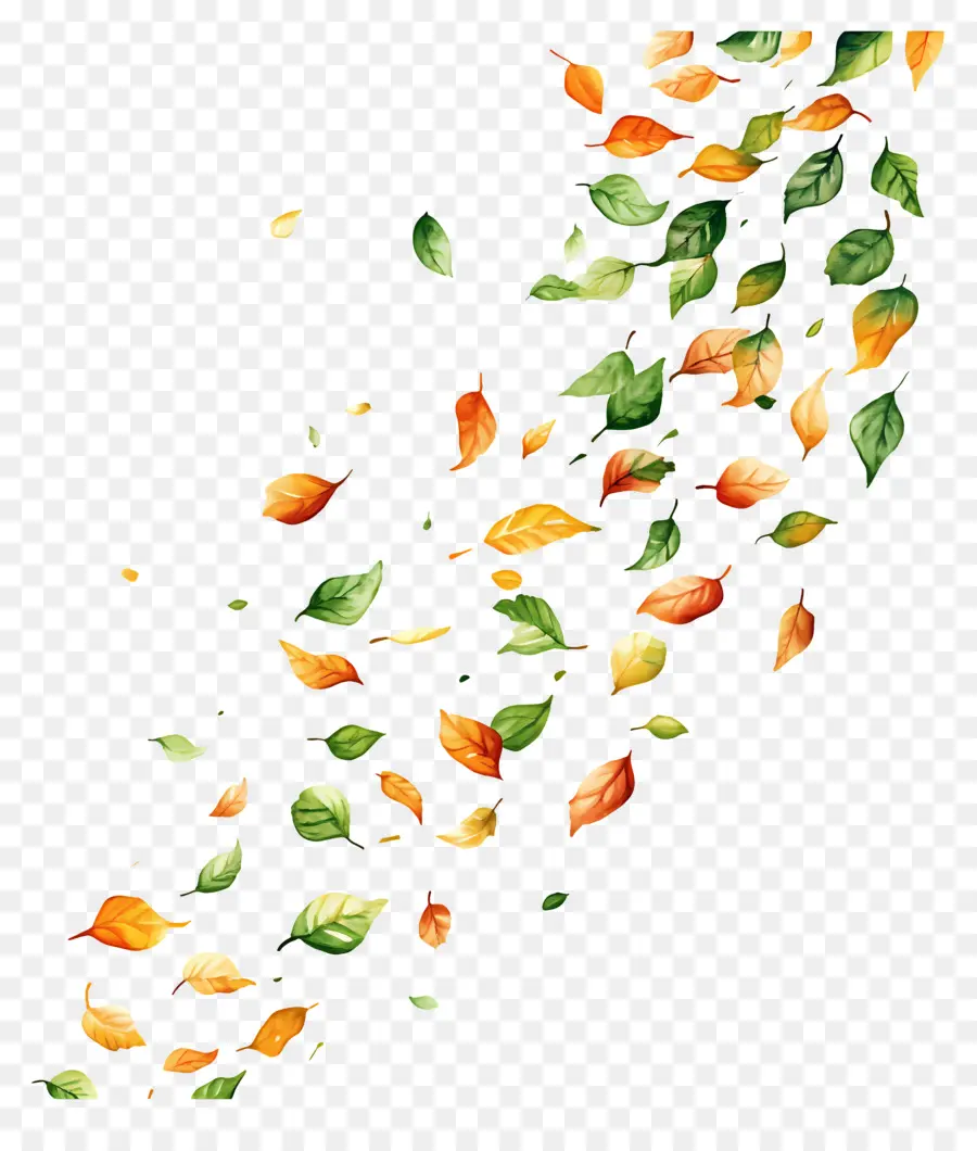 Feuilles Flottantes，Feuilles PNG