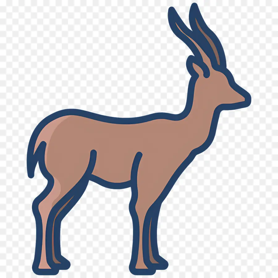 Gazelle，Cerf PNG