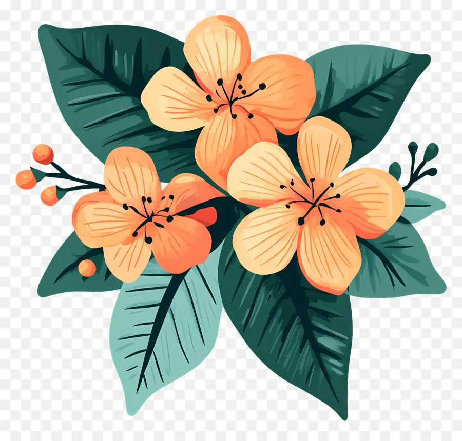 Fleur Tropicale，Fleurs PNG