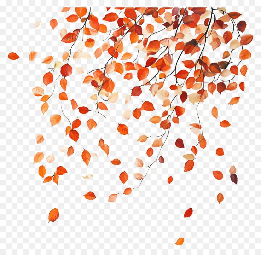 Feuilles Flottantes，Feuilles D'automne PNG