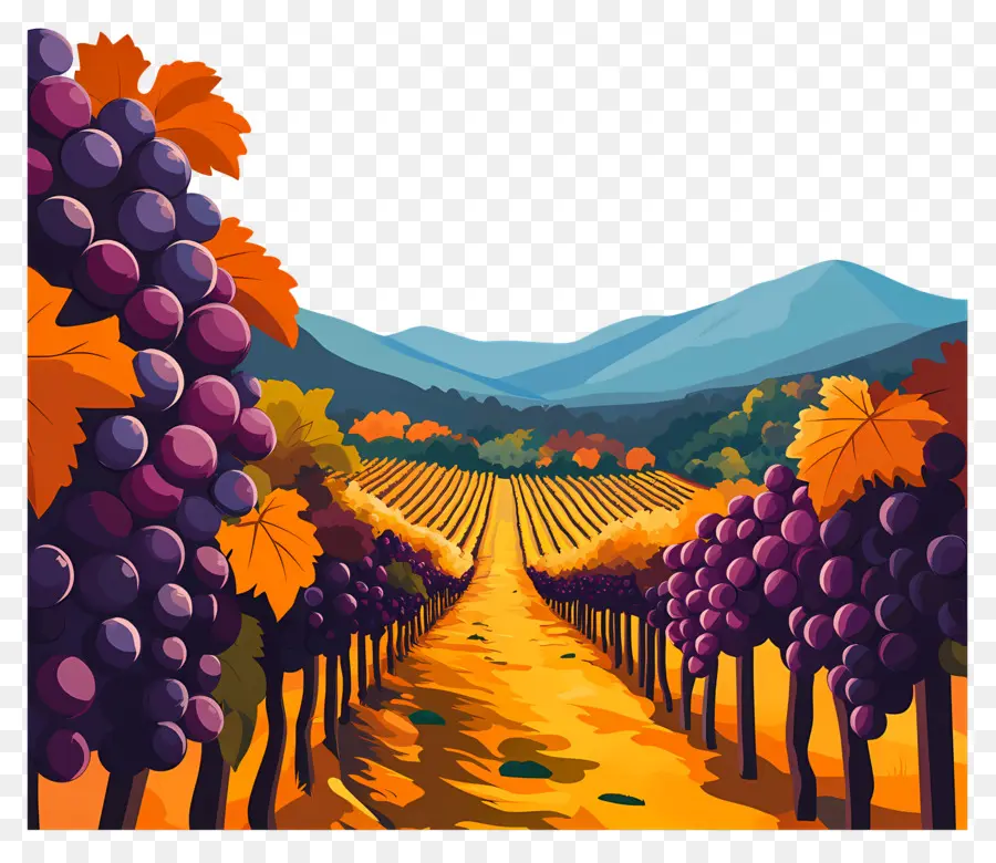 Vignoble，Raisins PNG