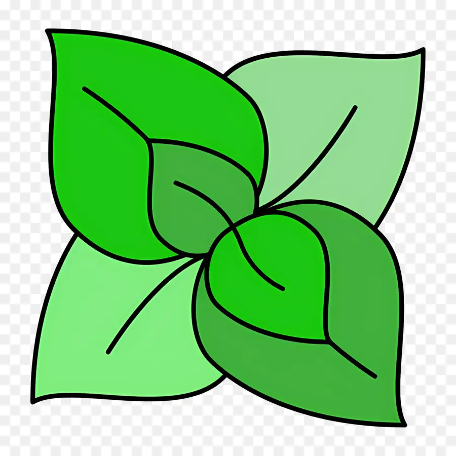 Basilic，Feuilles Vertes PNG