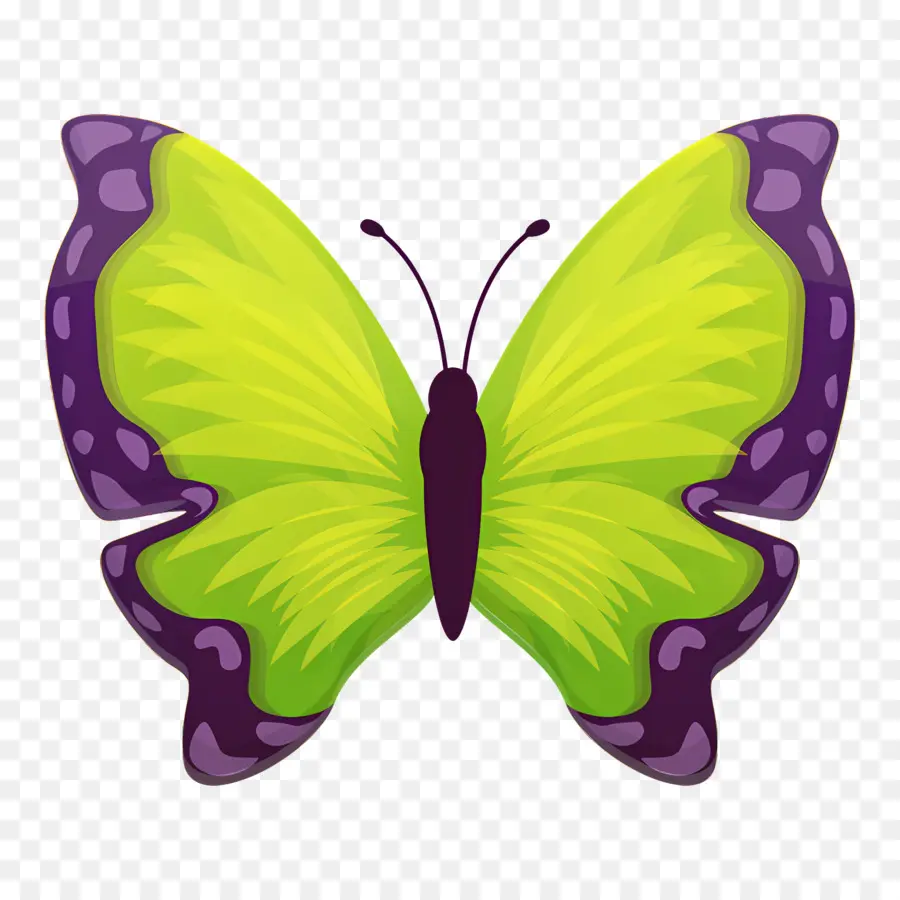 Papillon Vert，Ailes PNG