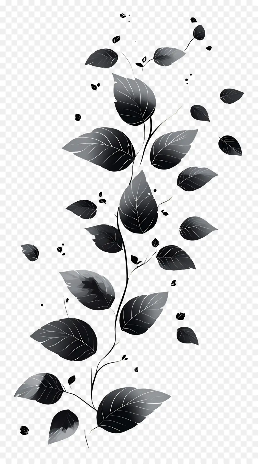 Feuilles Flottantes，Feuilles Noires PNG