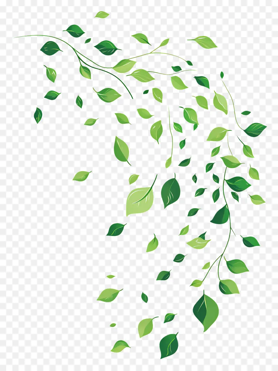 Feuilles Flottantes，Feuilles Vertes PNG