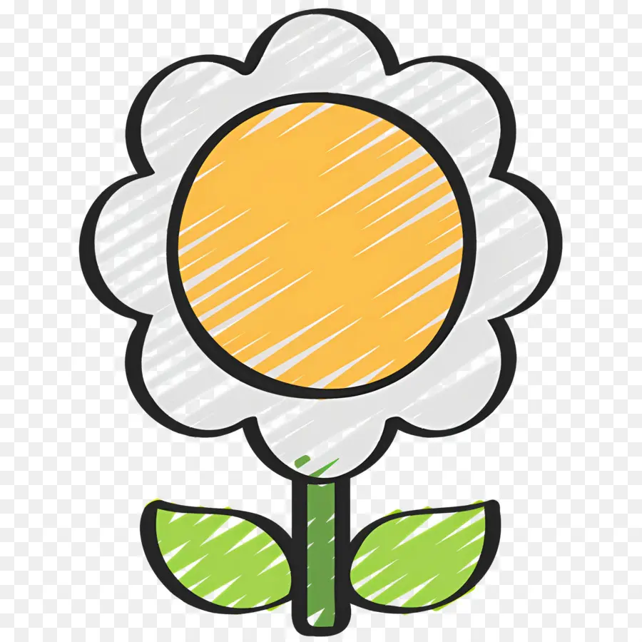 Fleur De Marguerite，Illustration De Fleurs Simples PNG