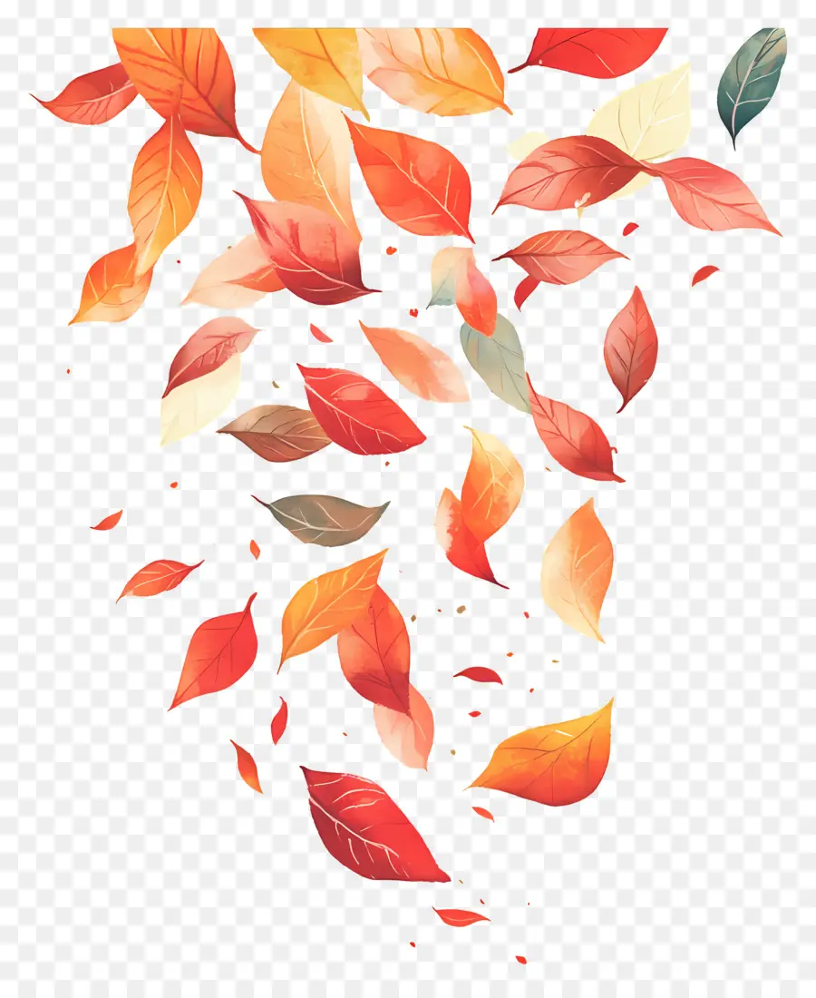 Feuilles Flottantes，Feuilles PNG