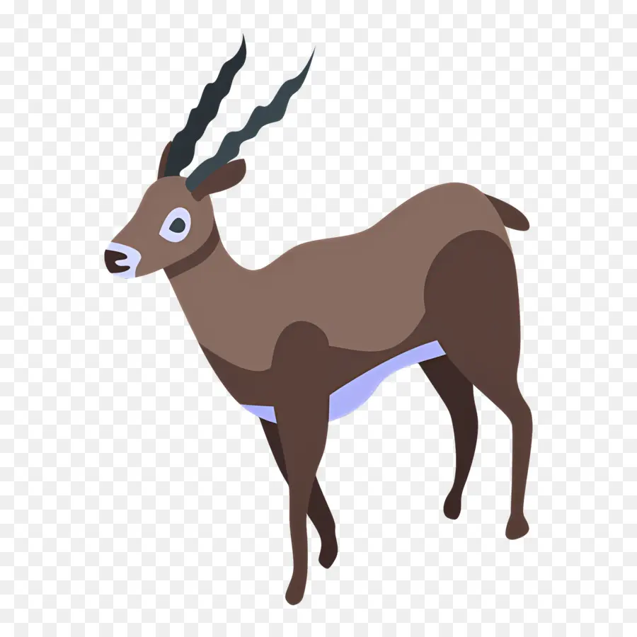 Gazelle，Cerf PNG