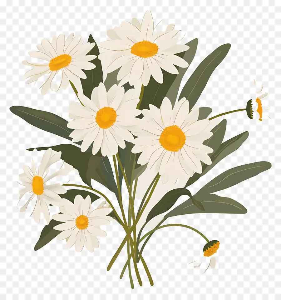 Bouquet De Marguerites，Fleurs De Marguerite PNG