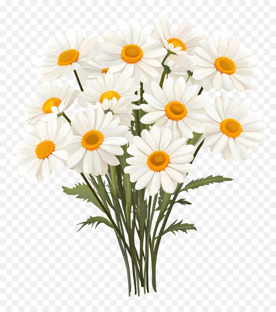 Bouquet De Marguerites，Marguerites PNG