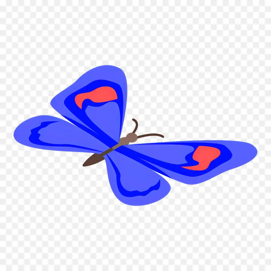 Papillon Bleu，Ailes PNG