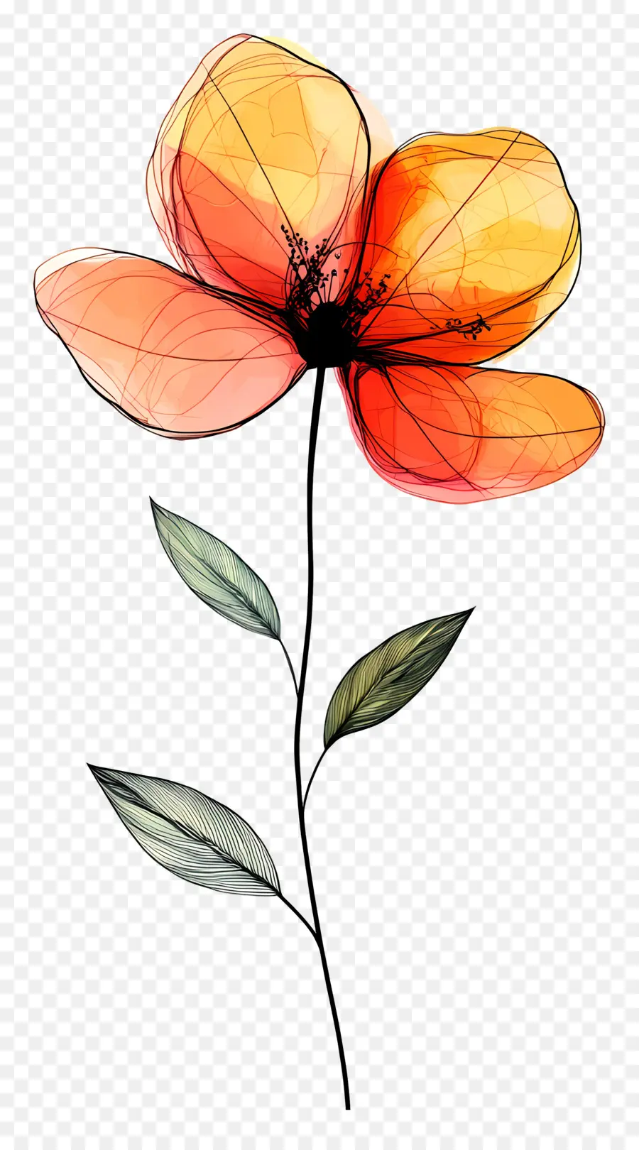 Fleur De Ligne，Fleur Rose PNG