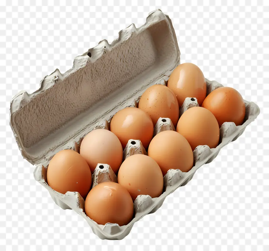 Carton D'oeufs，Œufs PNG