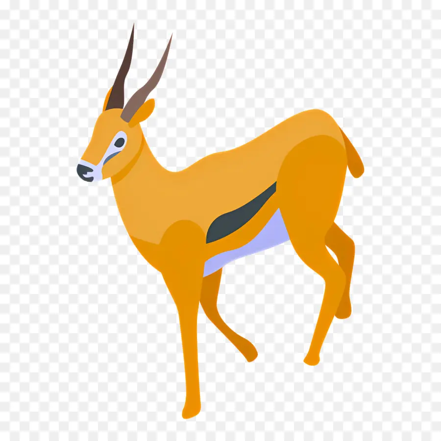 Gazelle，Cerf PNG