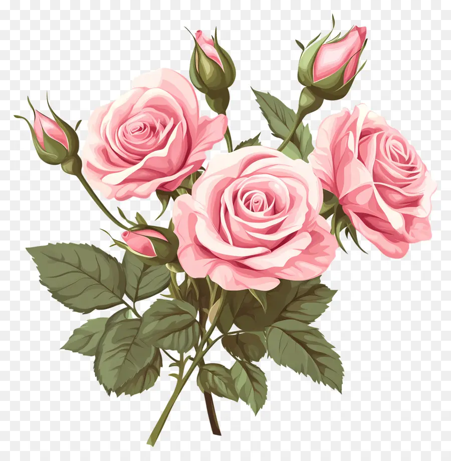 Bouquet De Roses Roses，Roses Colorées PNG