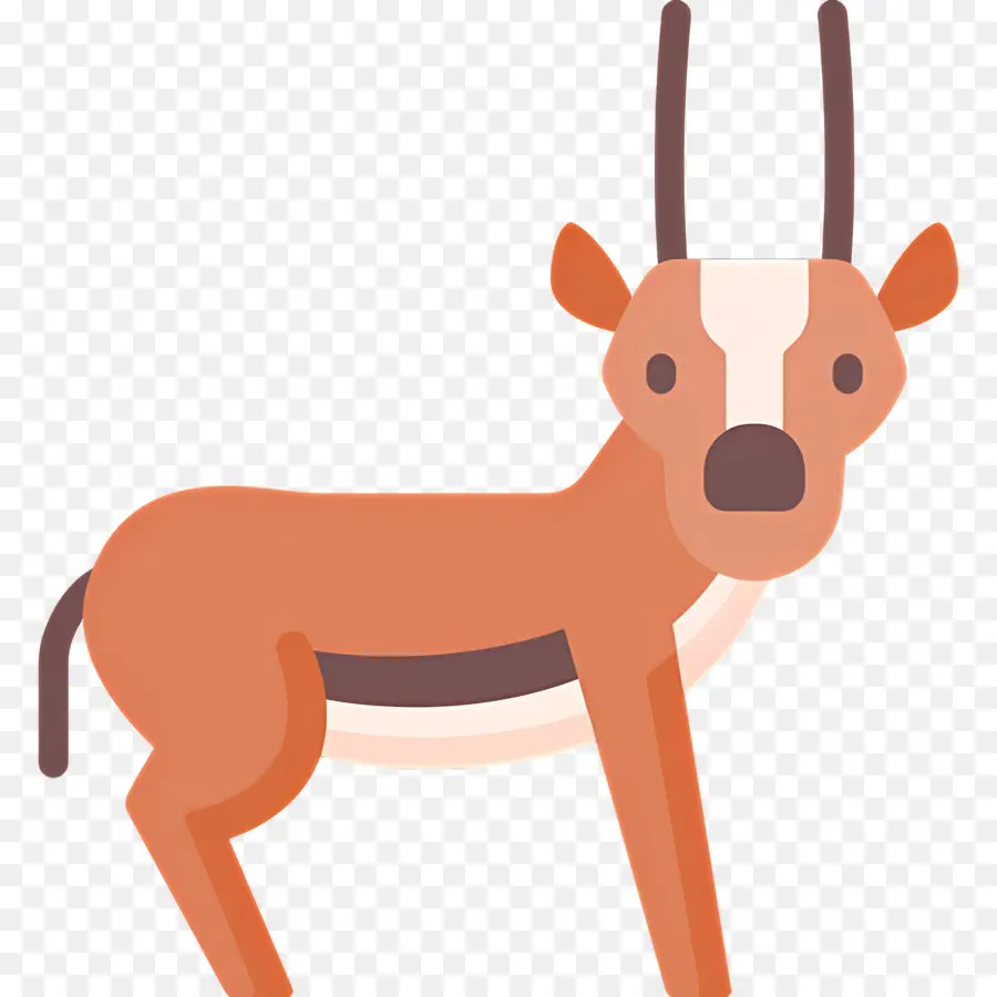 Gazelle，Antilope PNG