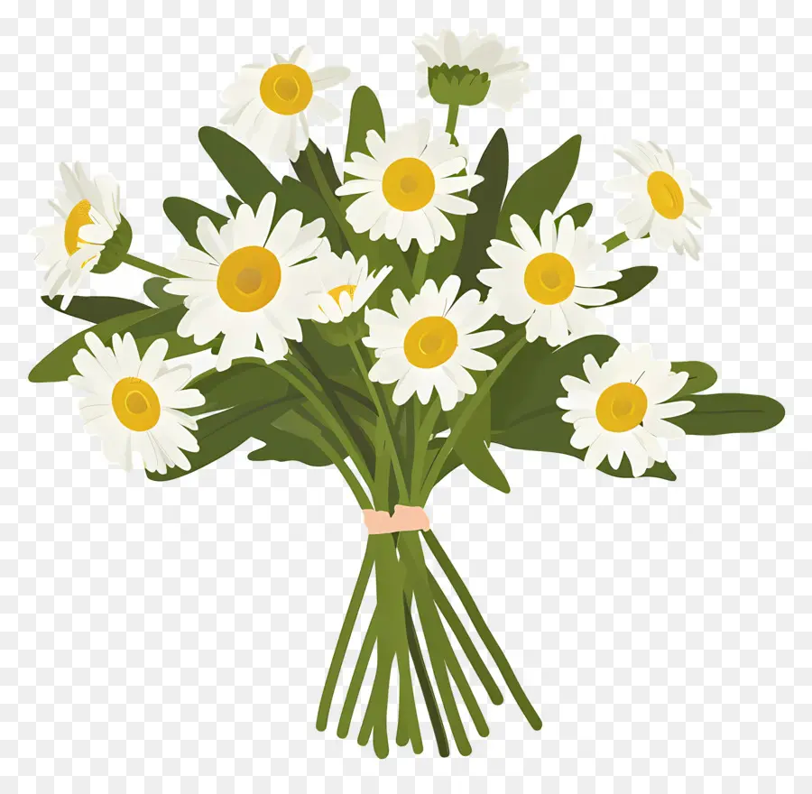 Bouquet De Marguerites，Marguerites PNG