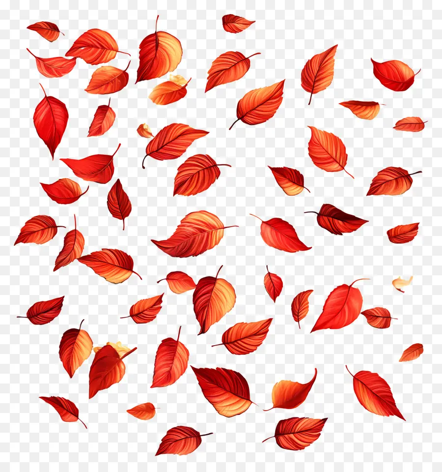 Feuilles Flottantes，Feuilles Rouges PNG