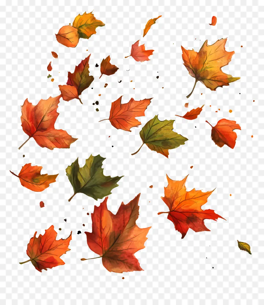 Feuilles Flottantes，Les Feuilles D'automne Tombent PNG