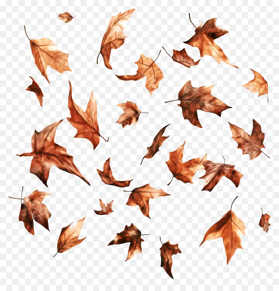 Feuilles Flottantes，Feuilles Qui Tombent PNG