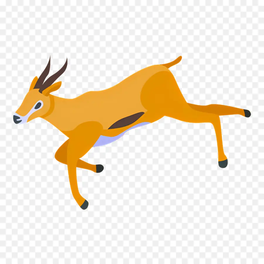 Gazelle，Antilope Sauteuse PNG