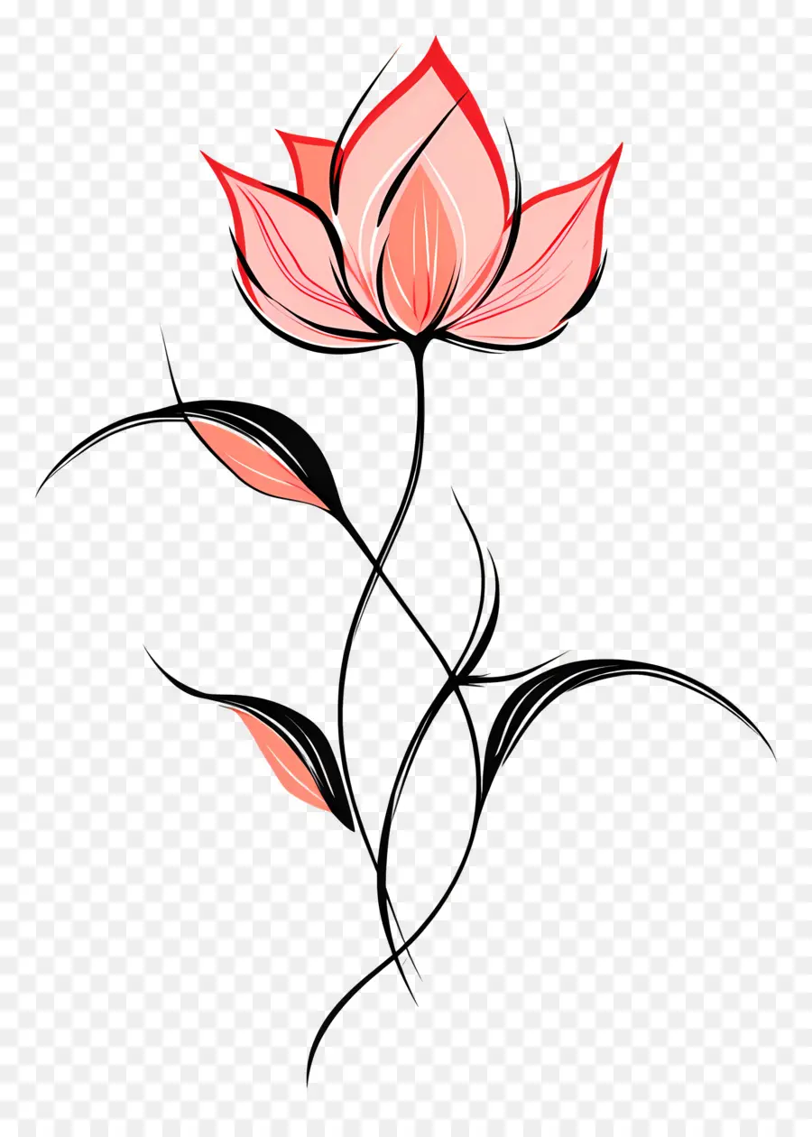 Fleur De Ligne，Fleur Rose PNG