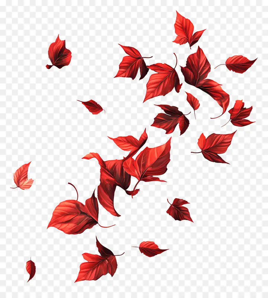 Feuilles Flottantes，Feuilles Rouges PNG