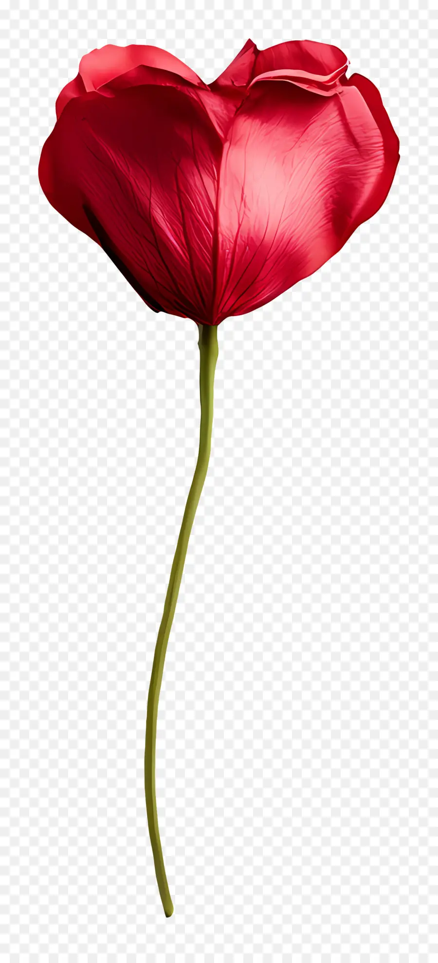 Note D'amour，Fleur Rouge PNG