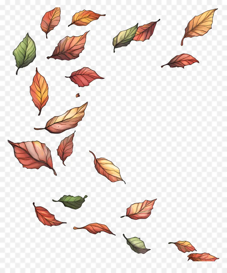 Feuilles Flottantes，Les Feuilles D'automne Tombent PNG