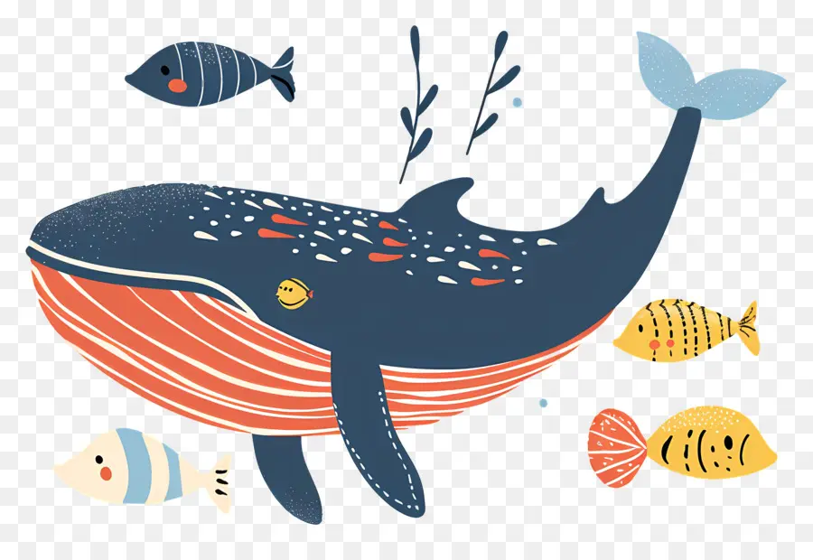 Baleine Et Poisson，Baleines PNG