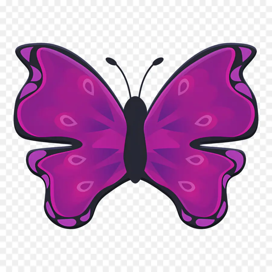 Papillon Violet，Papillon Rose PNG