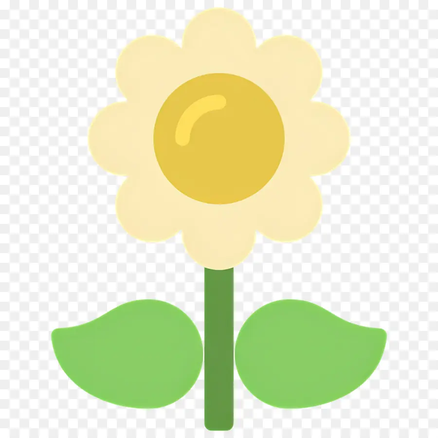 Fleur De Marguerite，Fleur Jaune PNG