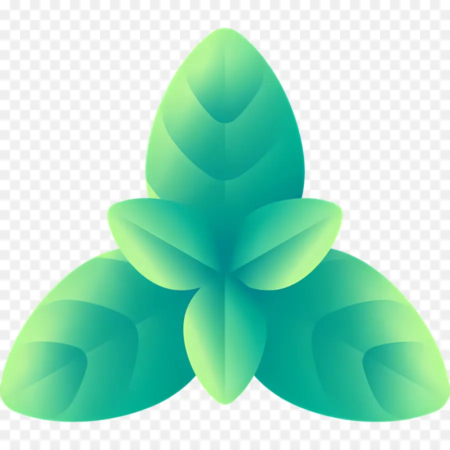 Basilic，Feuilles Vertes PNG