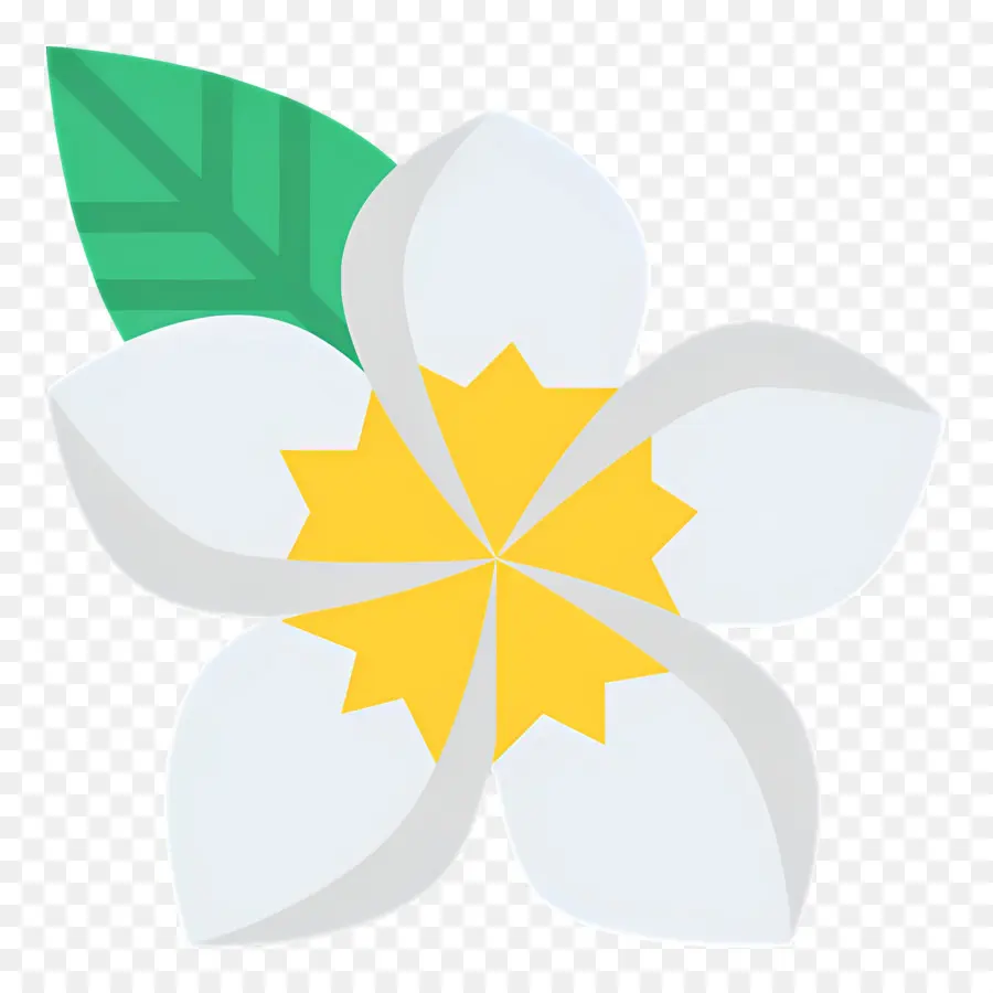 Fleur Tropicale，Fleur Blanche PNG