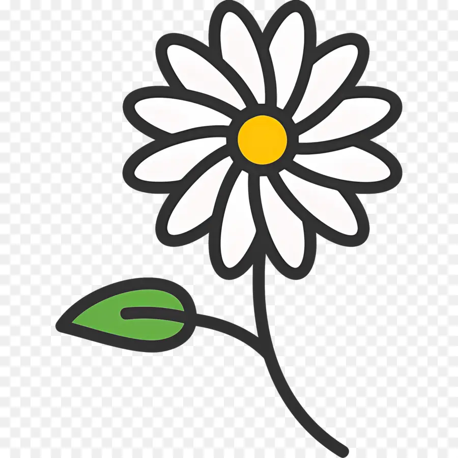 Fleur De Marguerite，Fleur PNG