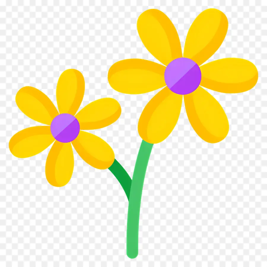 Fleur De Marguerite，Fleurs PNG