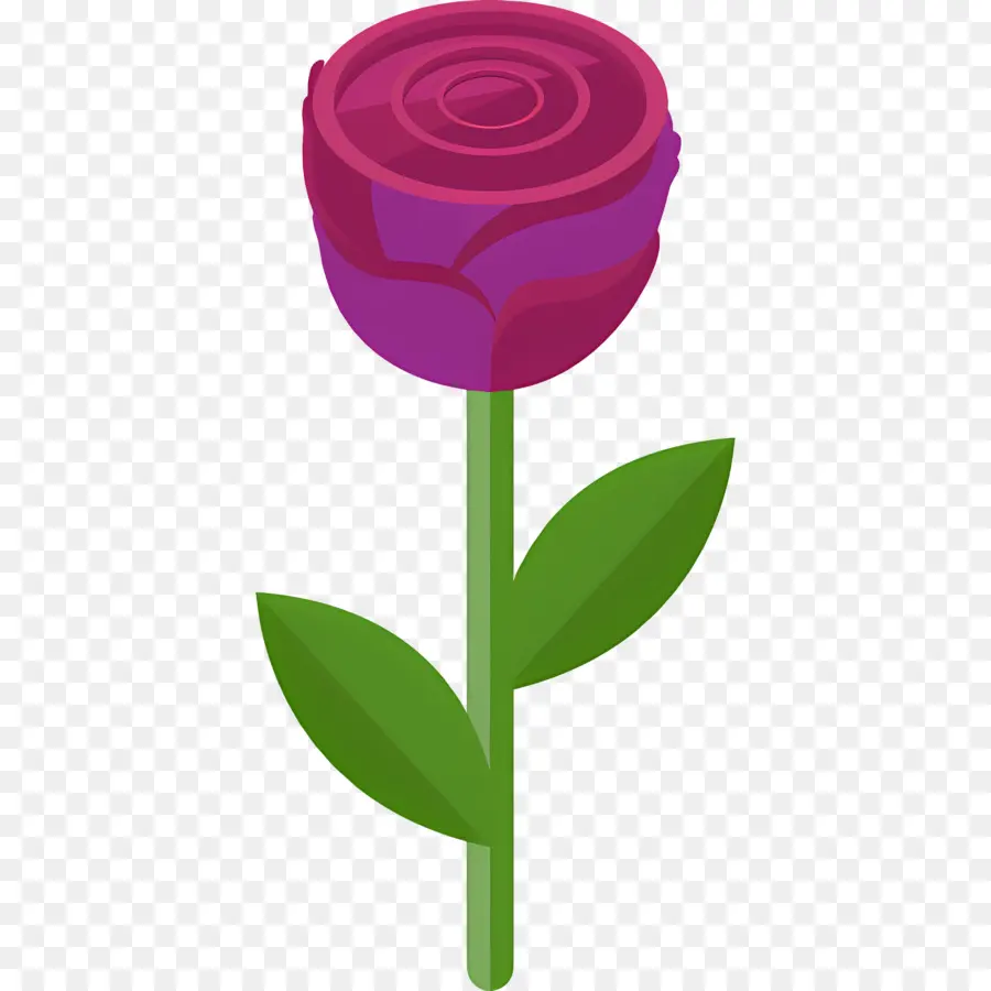 Fleur Rose，Tige De Rose PNG